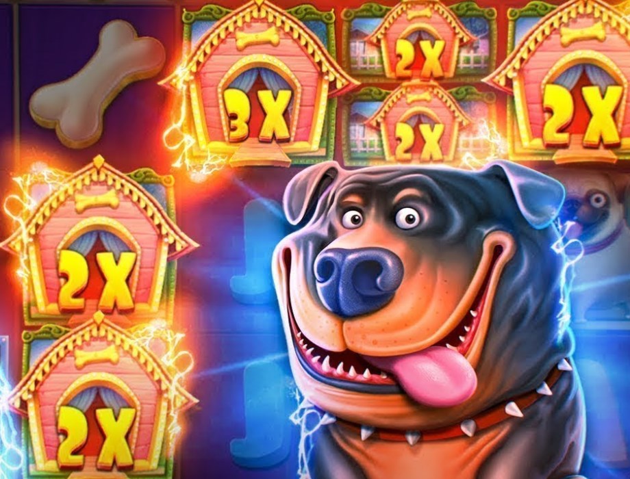 мобильное приложение Dog House