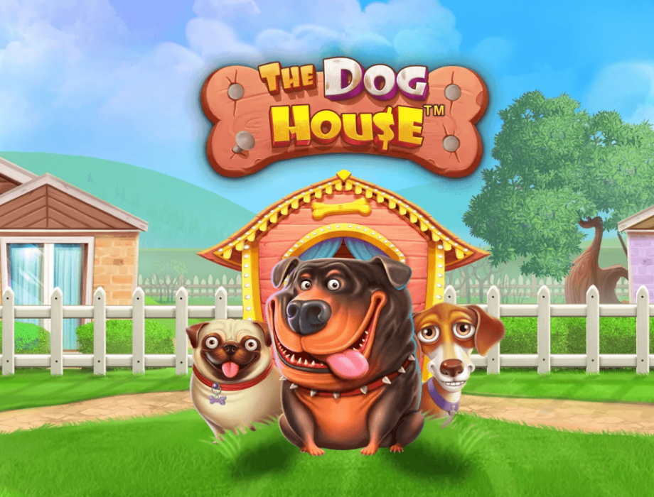 dog house